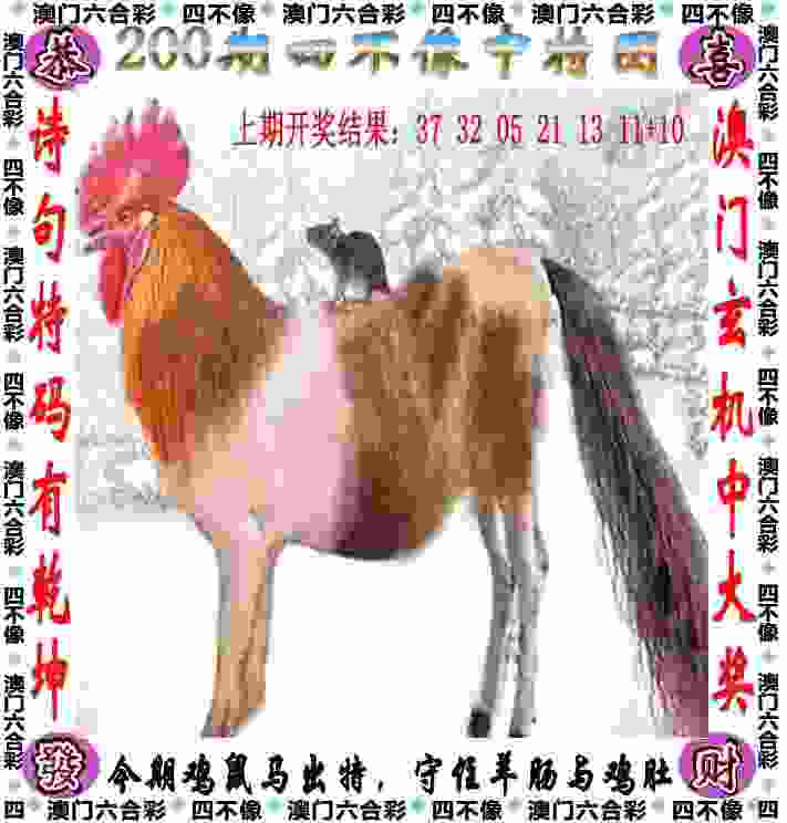 2005年澳门天天开好 v4.2.56.93 官方正式版 1